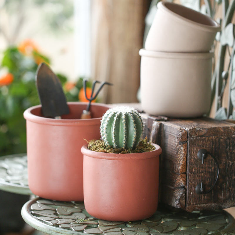 Creative Succulent Planter with Iron Stand Decor