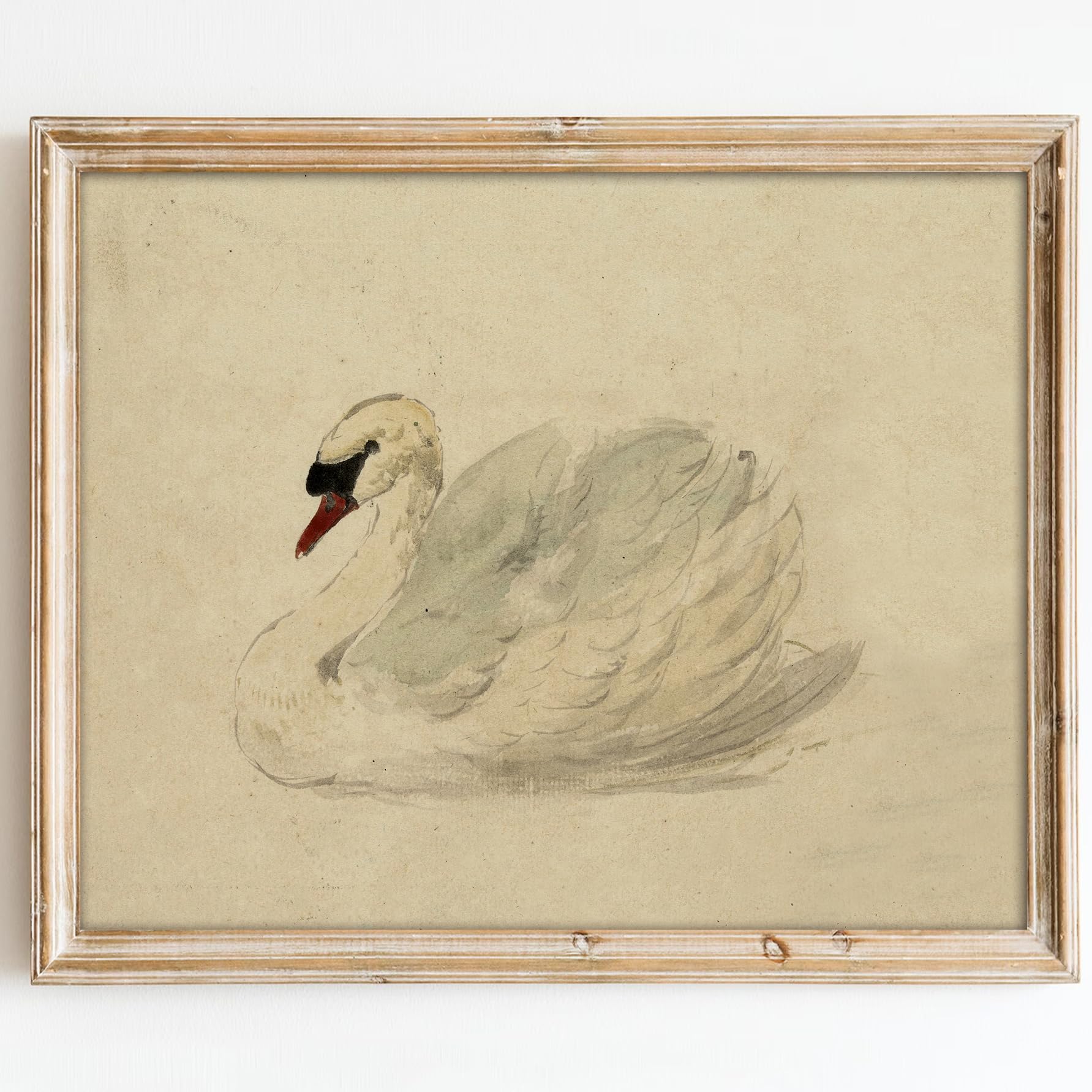 Classical Swan Watercolor Wall Art Print, 12x16, Unframed