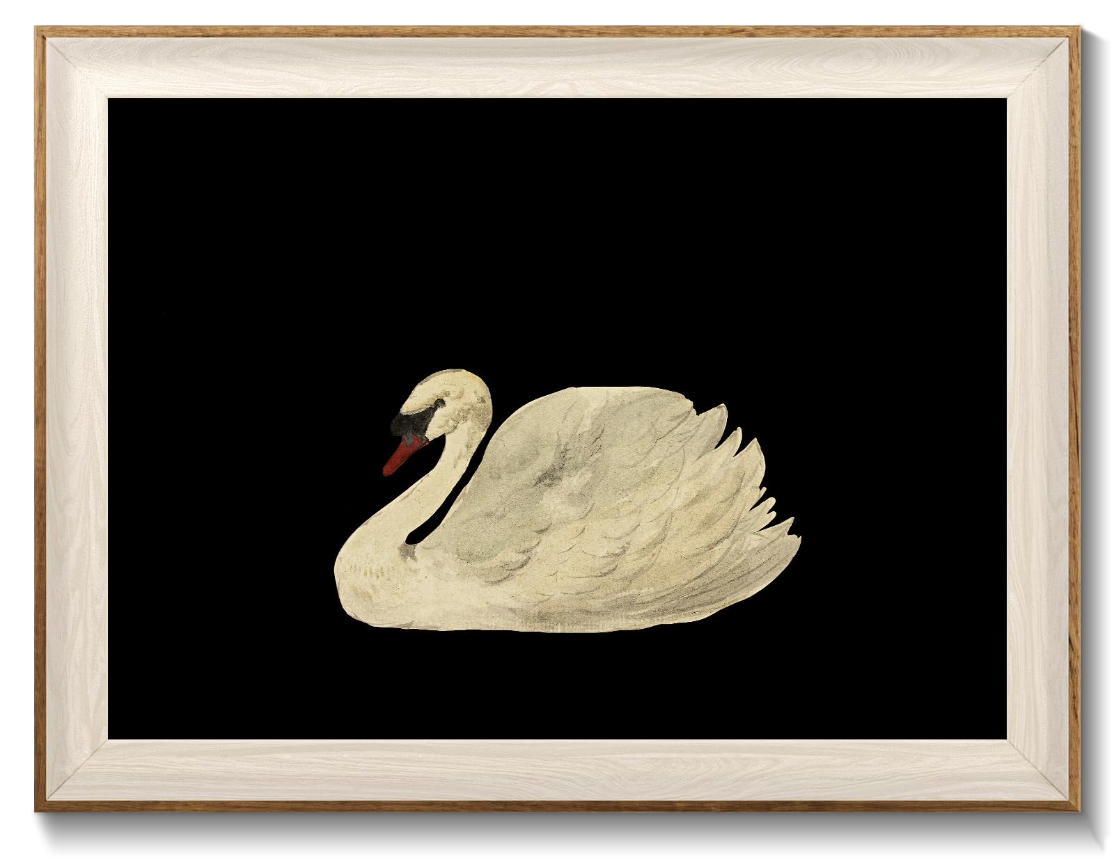 Vintage Swan Framed Canvas Wall Art, 12x16