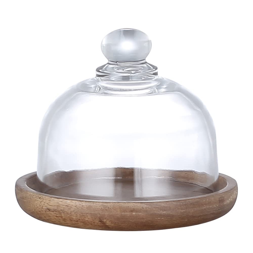 Mini Glass Dessert Dome with Base, Cake & Fruit Display Tray